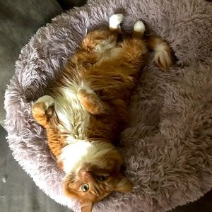 Meet your Posher, Adam